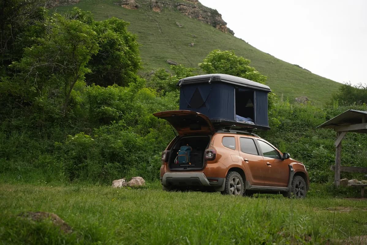 Жужик — миниатюра 5