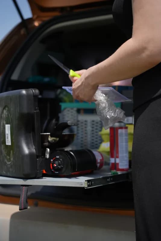 Жужик — миниатюра 4