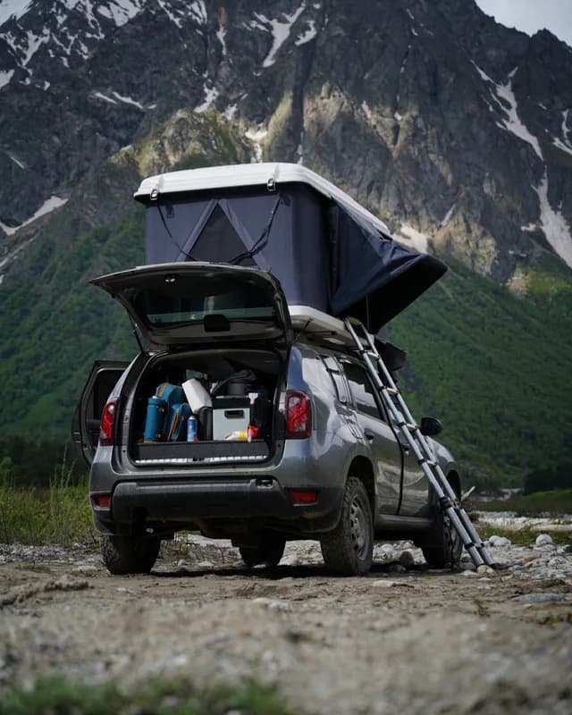 Шашлык — Renault Duster